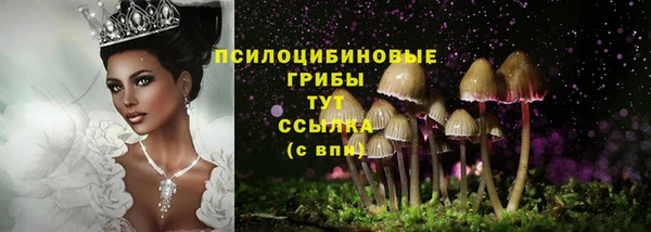 гидропоника Переславль-Залесский