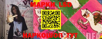 мяу мяу мука Кингисепп