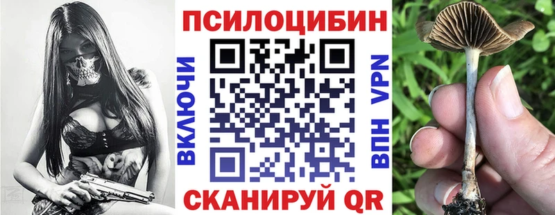 shop наркотические препараты  купить  сайты  Ростов-на-Дону  Галлюциногенные грибы мицелий 