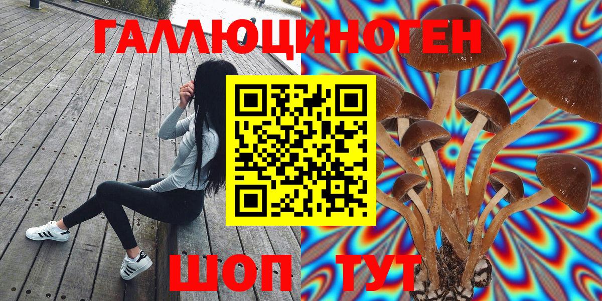 Псилоцибиновые грибы Psilocybe Ростов-на-Дону