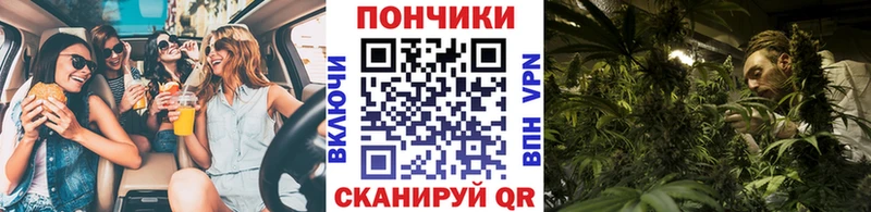 продажа наркотиков  Ростов-на-Дону  Бошки марихуана сатива 